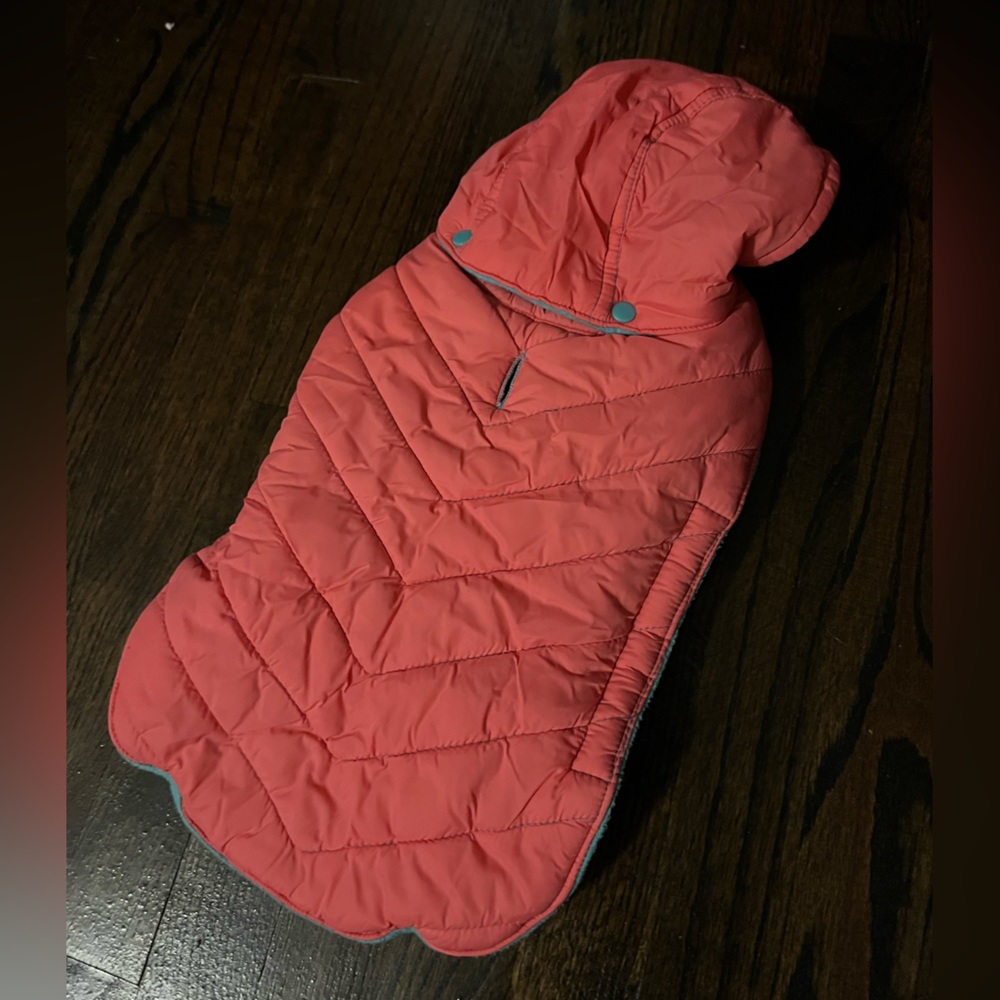 Dog’s winter coat